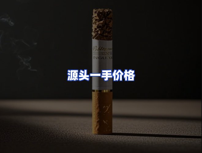 专业团队